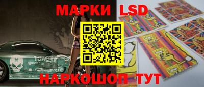 прущие грибы Будённовск