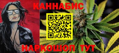 прущие грибы Будённовск
