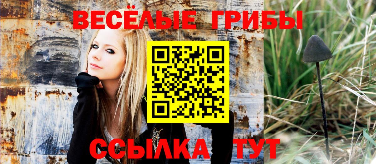 Псилоцибиновые грибы GOLDEN TEACHER Уварово